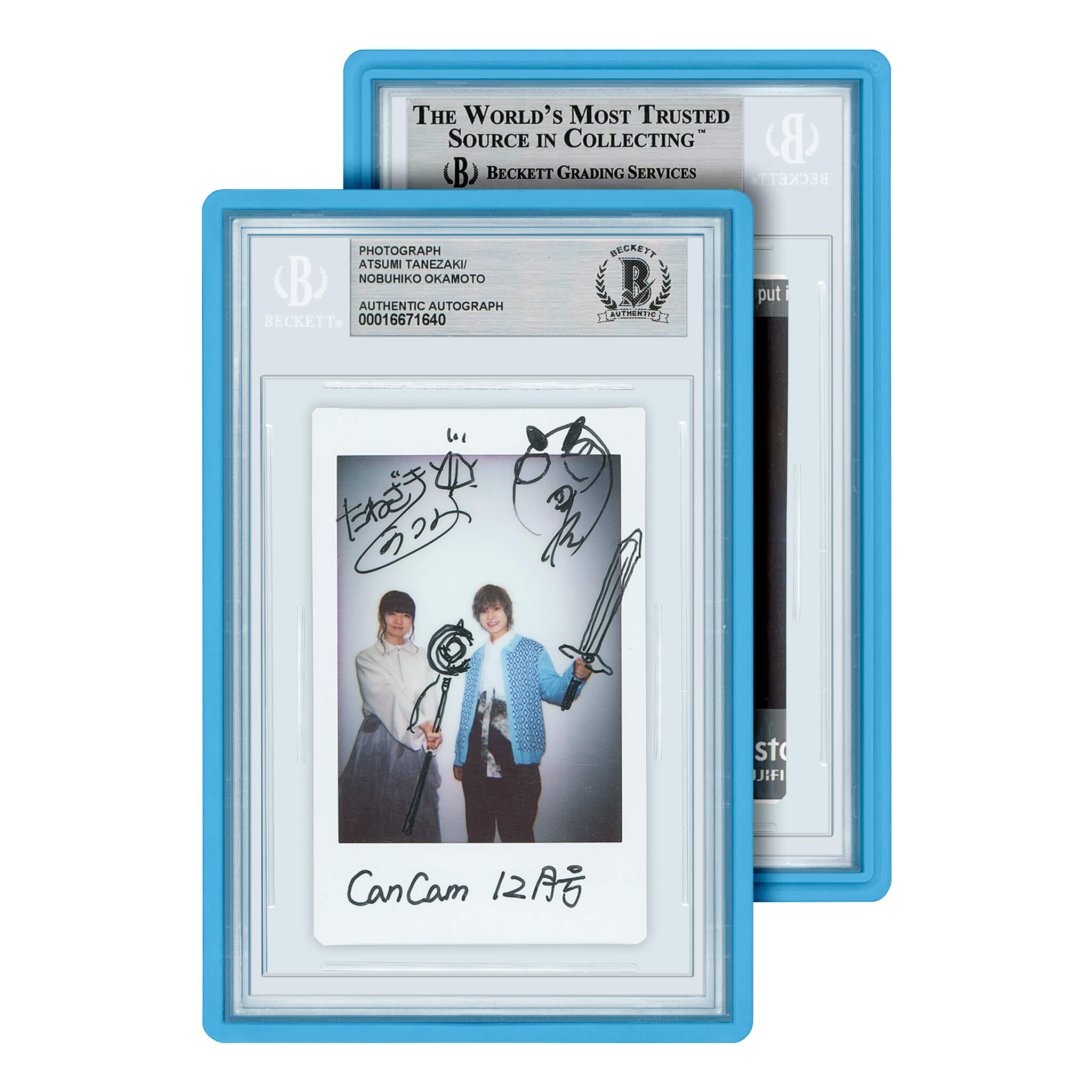 Standard Case (BGS)