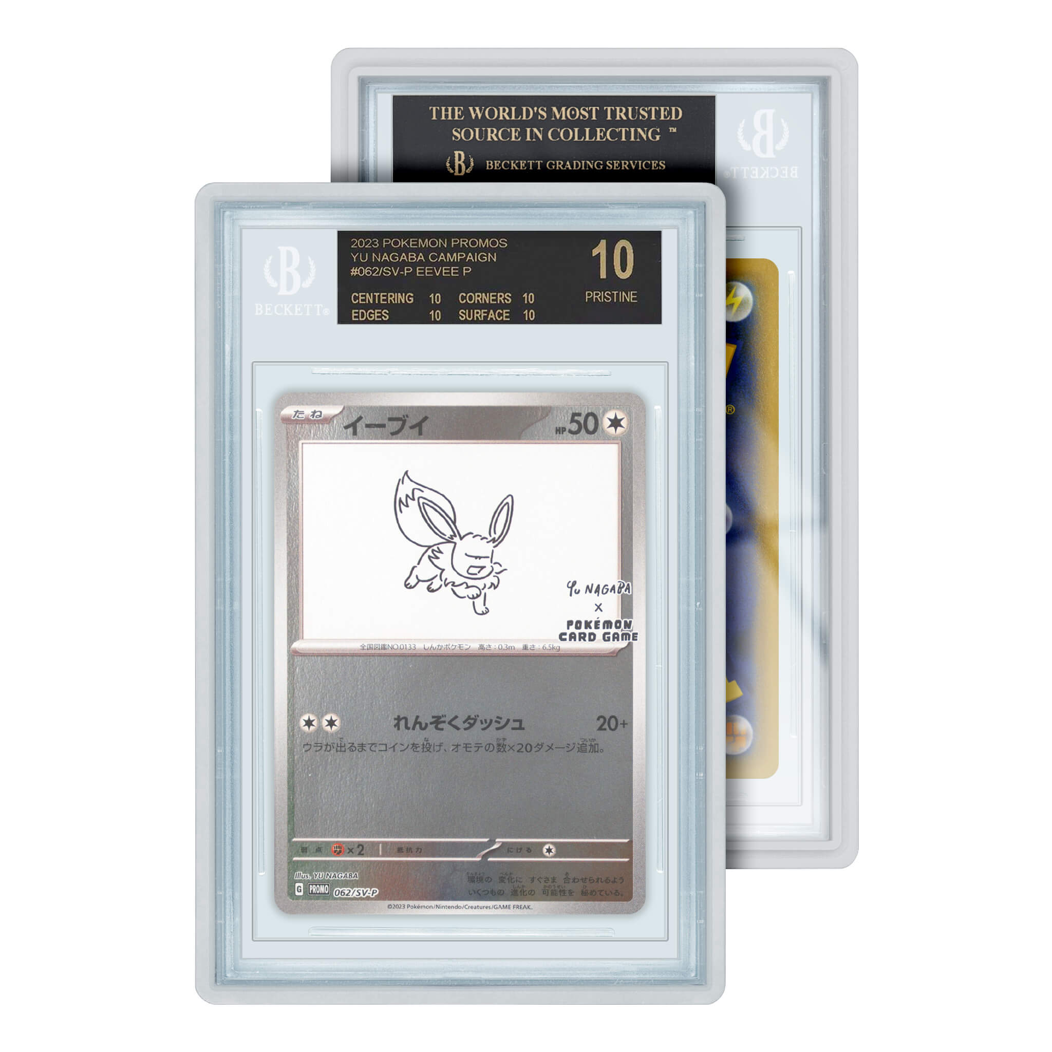 Standard Case (BGS)