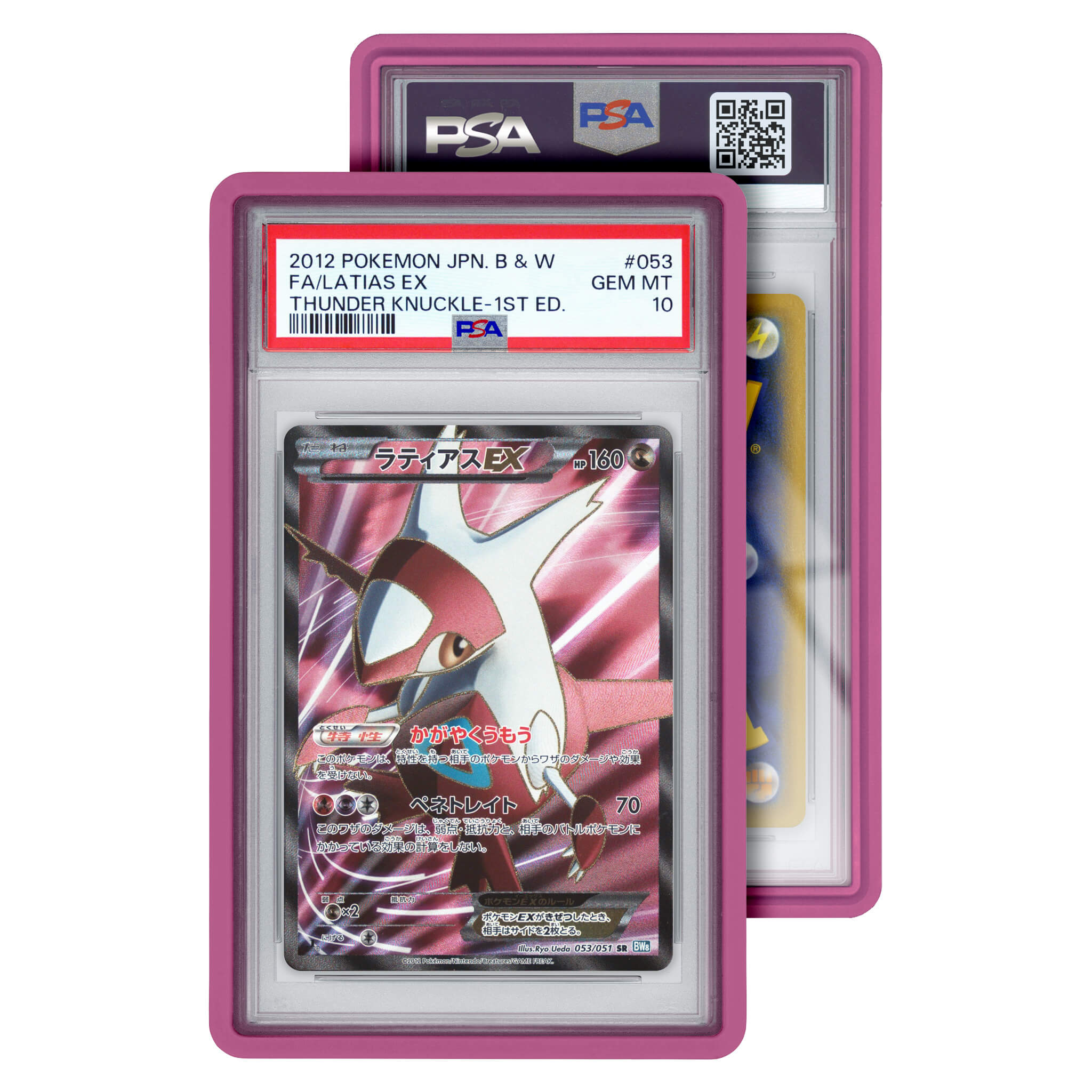 Standard Case (PSA)
